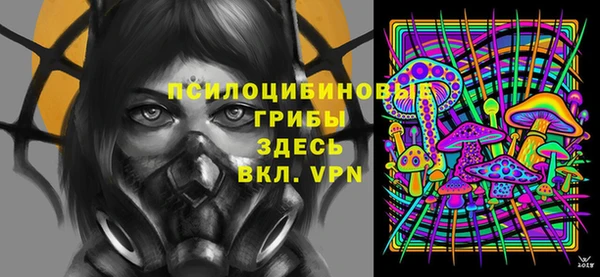 стафф Алзамай