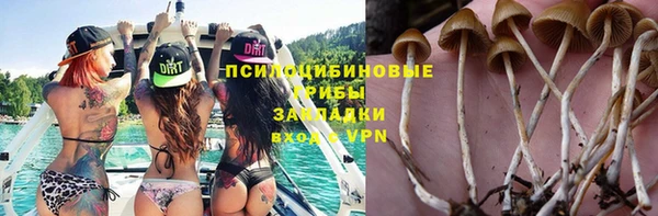 гидропоника Алексин
