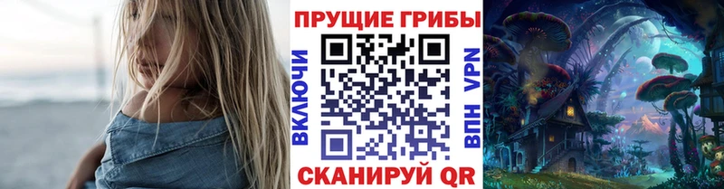 купить наркотик  Любань  Псилоцибиновые грибы Psilocybine cubensis 