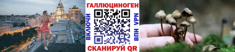 Псилоцибиновые грибы Cubensis Любань